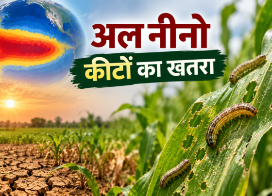El Nino Se Fasal Mein Keeton Ka Khatra