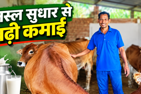Daya Sagar Pashupalan Success Story