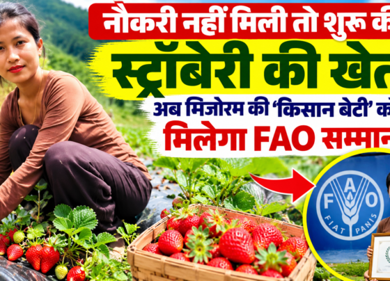 ZT Lalrithangi Strawberry Farming Success Story
