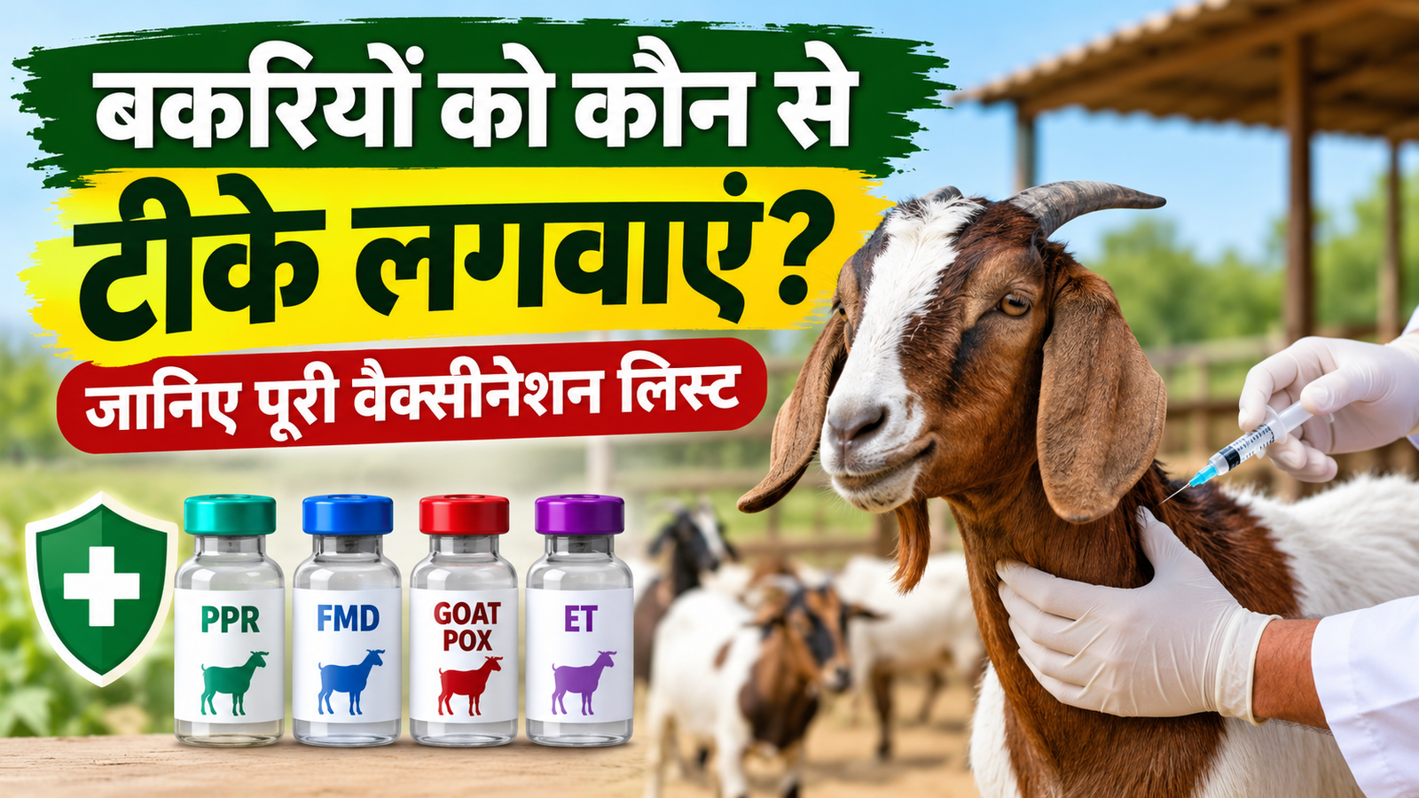 बकरियों को कौन से टीके लगवाएं? जानिए पूरी वैक्सीनेशन लिस्ट, सरकारी अस्पताल में फ्री मिलती है सुविधा Bakriyon Ko Kaun Se Tike Lagwaye