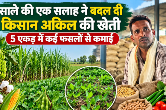 Akil Mixed Farming Success Story in MP