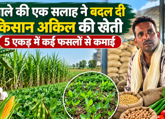 Akil Mixed Farming Success Story in MP