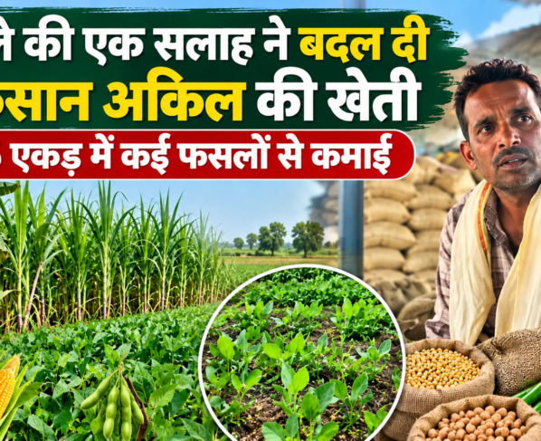 Akil Mixed Farming Success Story in MP
