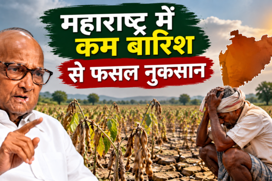Maharashtra Mein Kam Barish Se Fasal Nuksan