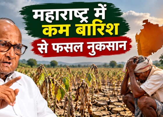 Maharashtra Mein Kam Barish Se Fasal Nuksan