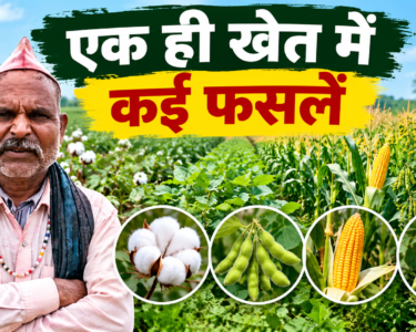 Chetaram Mix Farming Success Story
