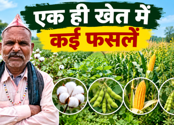 Chetaram Mix Farming Success Story