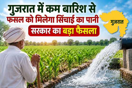 Gujarat Mein Kam Barish Se Fasal Ko Milega Sinchai Ka Pani