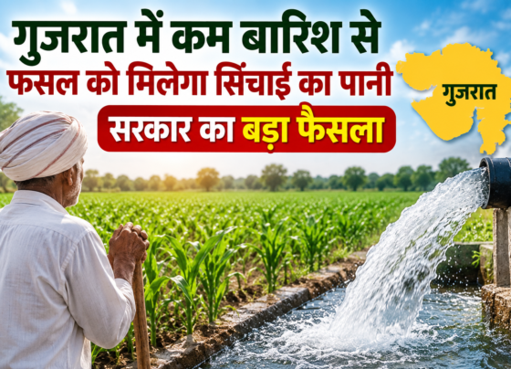 Gujarat Mein Kam Barish Se Fasal Ko Milega Sinchai Ka Pani
