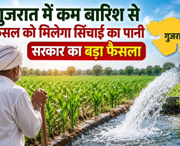 Gujarat Mein Kam Barish Se Fasal Ko Milega Sinchai Ka Pani