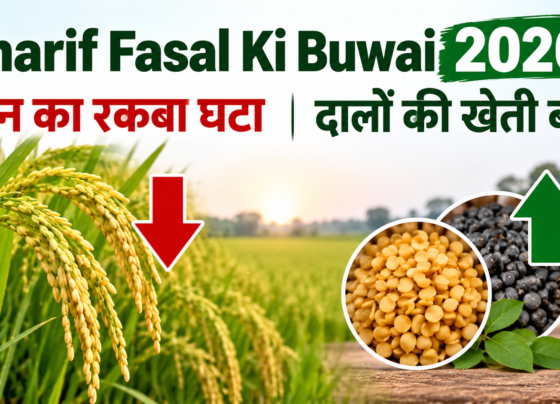 Kharif Fasal Ki Buwai 2026