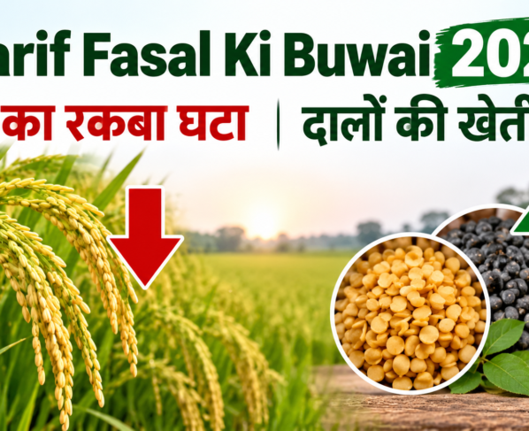 Kharif Fasal Ki Buwai 2026