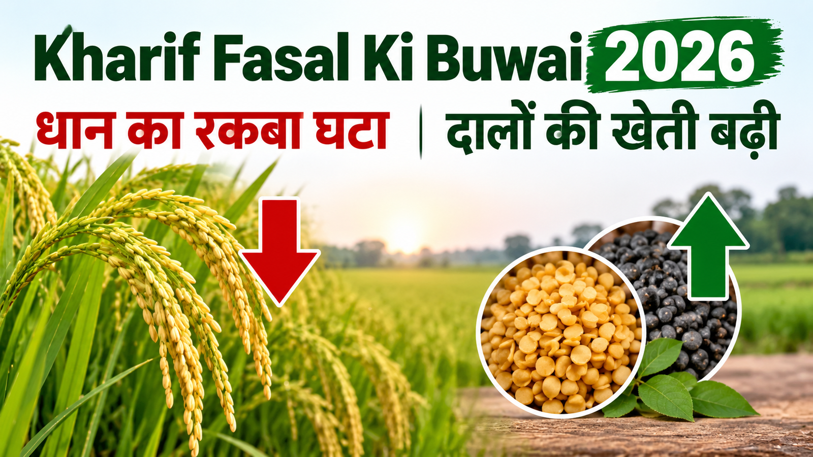 खरीफ बुवाई में 2 फीसदी की कमी, धान का रकबा घटा Kharif Fasal Ki Buwai 2026