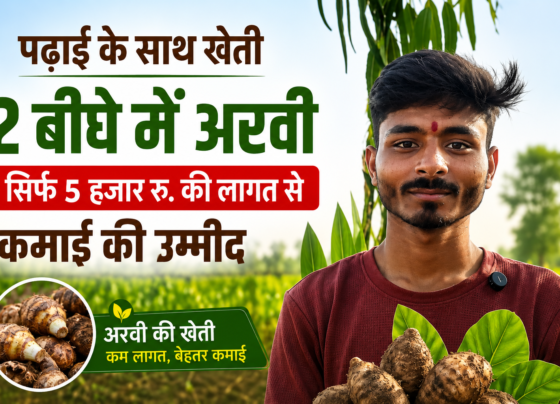 Arvi Farming Success Story in UP