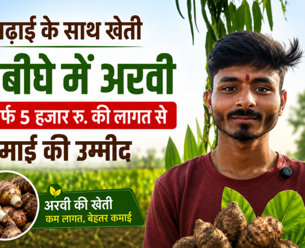 Arvi Farming Success Story in UP