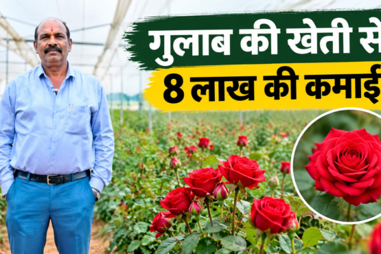 Vikas Kumar Shrivastav Rose Farming Success Story