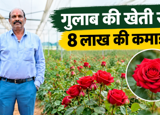 Vikas Kumar Shrivastav Rose Farming Success Story