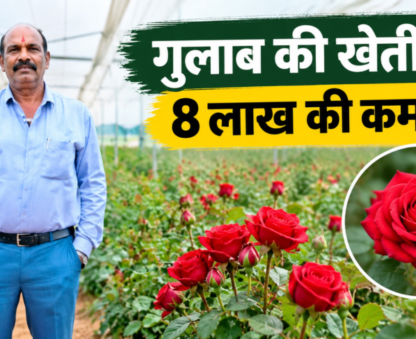Vikas Kumar Shrivastav Rose Farming Success Story