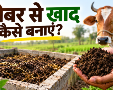 Gobar Se Khad Kaise Banaye