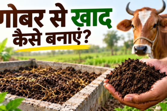 Gobar Se Khad Kaise Banaye