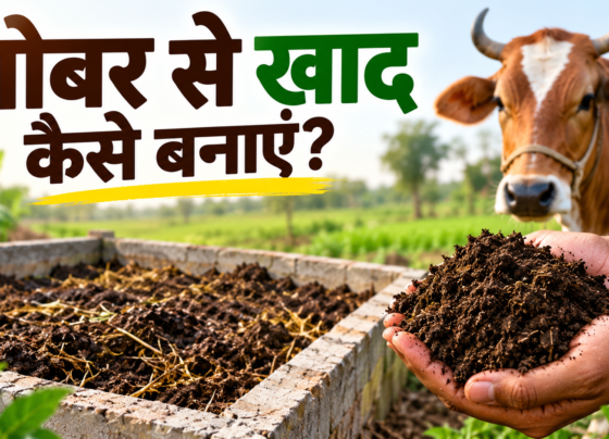 Gobar Se Khad Kaise Banaye