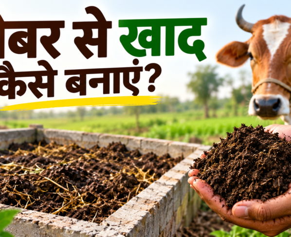 Gobar Se Khad Kaise Banaye