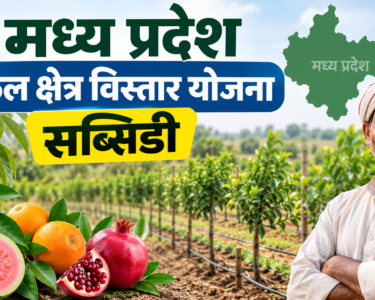 Madhya Pradesh Phal Kshetra Vistar Yojana Subsidy