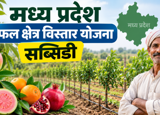 Madhya Pradesh Phal Kshetra Vistar Yojana Subsidy