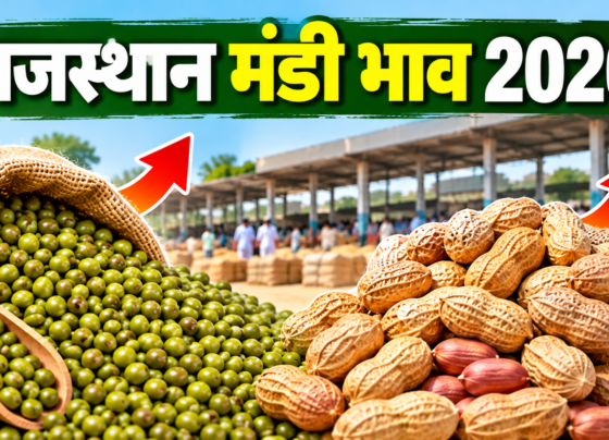 Rajasthan Mandi Bhav 2026
