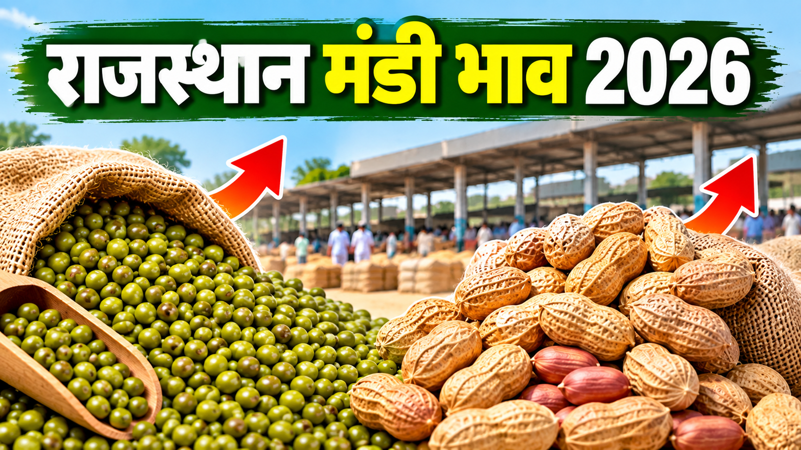 राजस्थान के किसानों के लिए मूंग और मूंगफली के MSP में बढ़ोतरी, जानें सीकर मंडी के ताजा भाव Rajasthan Mandi Bhav 2026