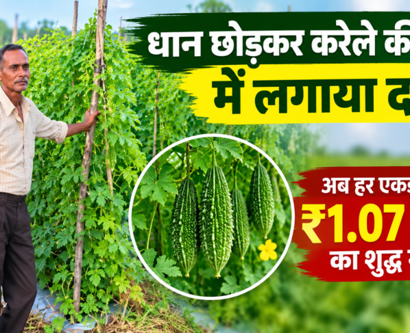 Karela Farming Success Story in Chhattisgarh