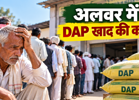 Alwar Mein DAP Khad Ki Kami