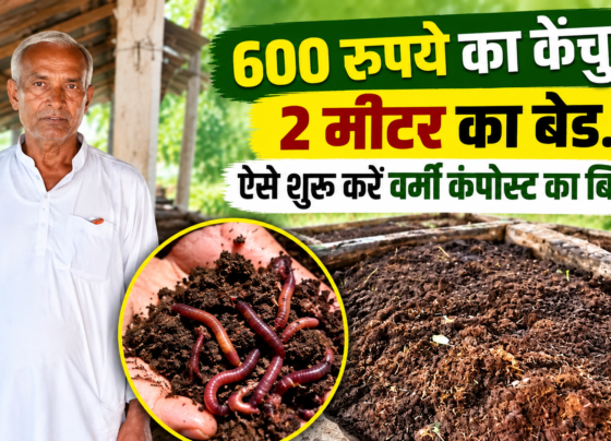 Surya Prasad Shukla Vermicompost Business Success Story