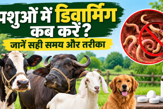 Pashuon Me Deworming Kab Kare