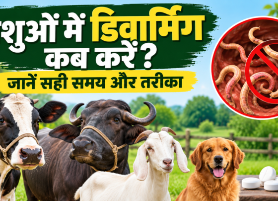 Pashuon Me Deworming Kab Kare