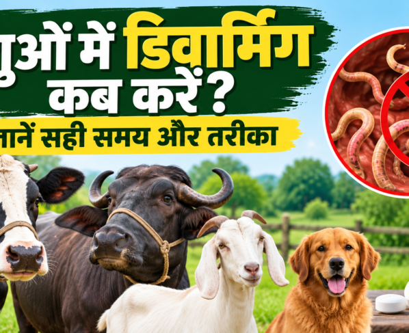 Pashuon Me Deworming Kab Kare