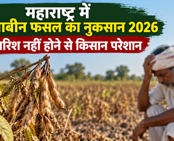 Maharashtra mein Soybean Fasal ka Nuksan 2026