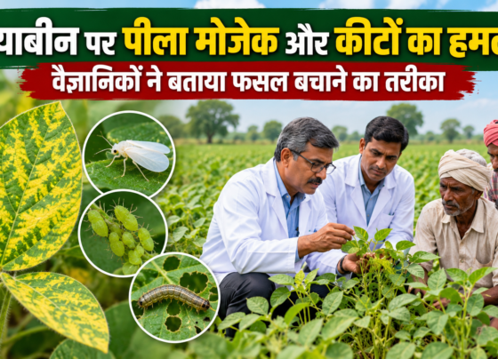 Soybean Fasal Ko Rog Aur Keet Se Kaise Bachaye