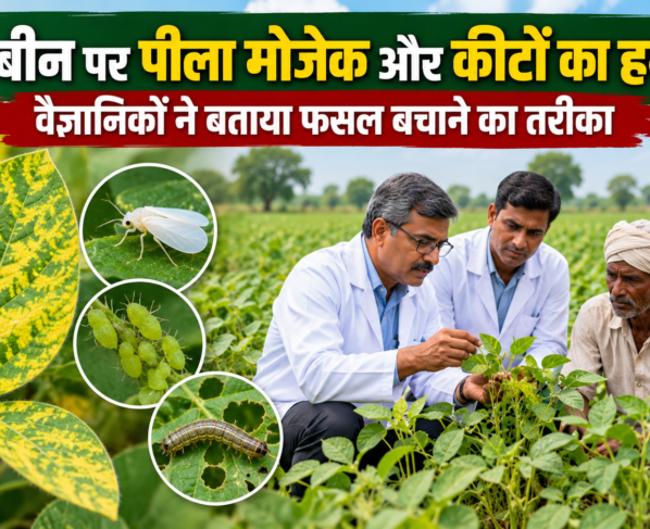Soybean Fasal Ko Rog Aur Keet Se Kaise Bachaye