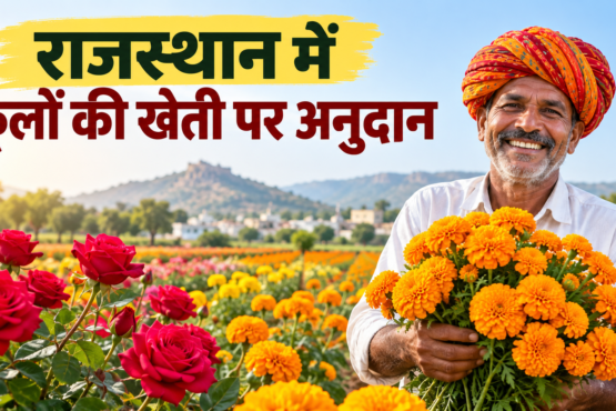 Rajasthan Mein Phoolon Ki Kheti Par Anudan