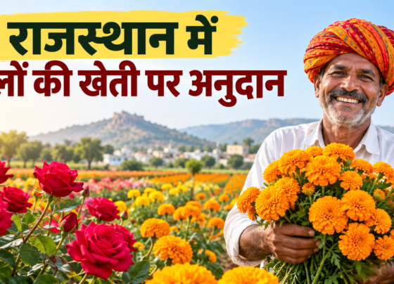 Rajasthan Mein Phoolon Ki Kheti Par Anudan