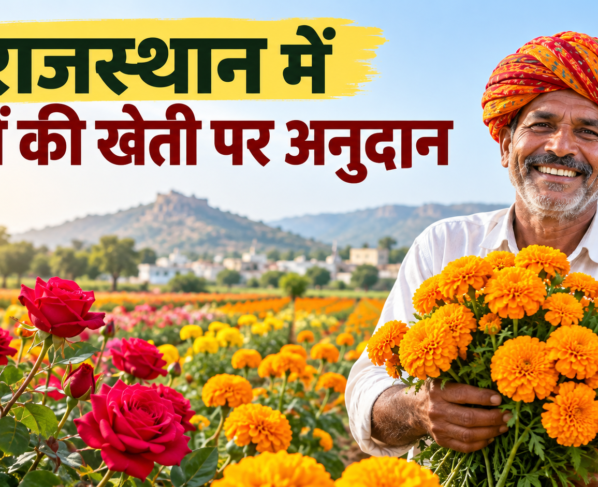 Rajasthan Mein Phoolon Ki Kheti Par Anudan