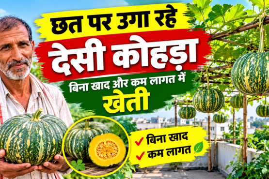 Ramchandra Yadav Farming Success Story