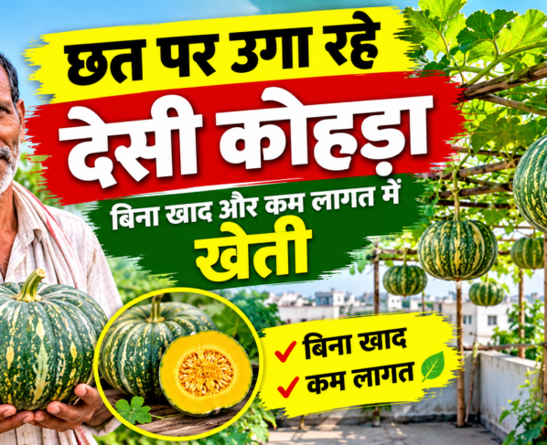 Ramchandra Yadav Farming Success Story