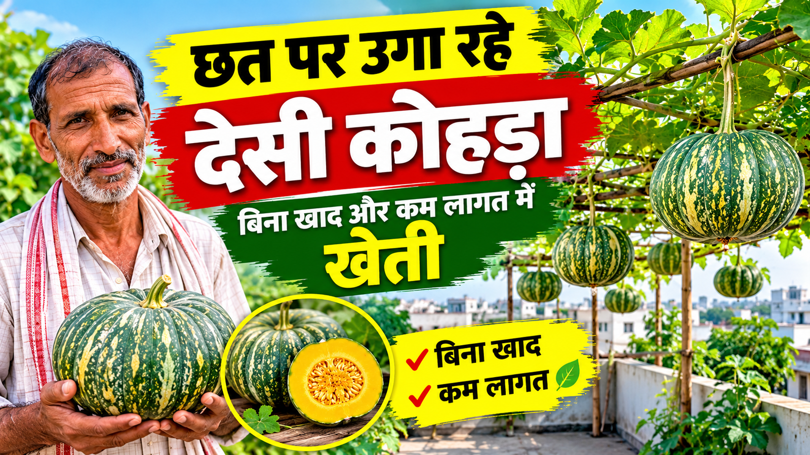 छत पर उगा रहे देसी कोहड़ा, बिना खाद और कम लागत में खेती Ramchandra Yadav Farming Success Story