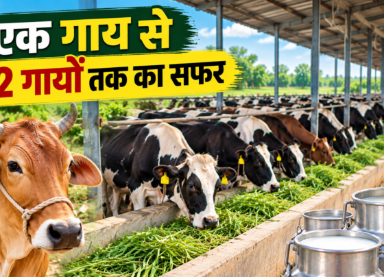 Ramesh Kumar Cow Farming Success Story