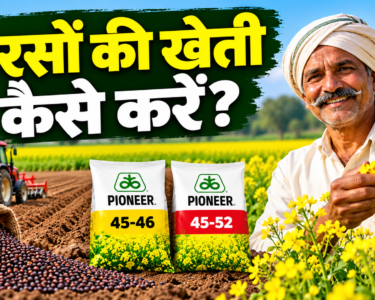 Sarson Ki Kheti Kaise Kare?