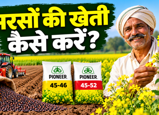 Sarson Ki Kheti Kaise Kare?