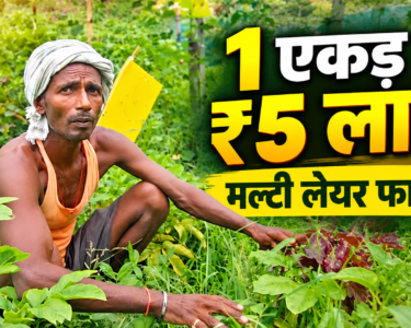 Jivesh Kumar Yadav Success Story