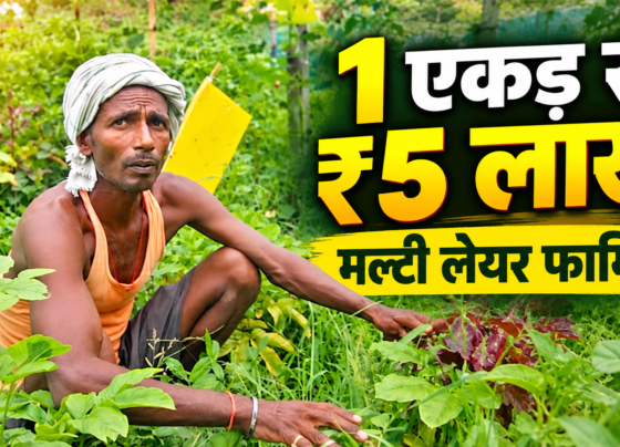 Jivesh Kumar Yadav Success Story